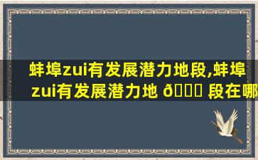 蚌埠zui
有发展潜力地段,蚌埠zui
有发展潜力地 🐈 段在哪里